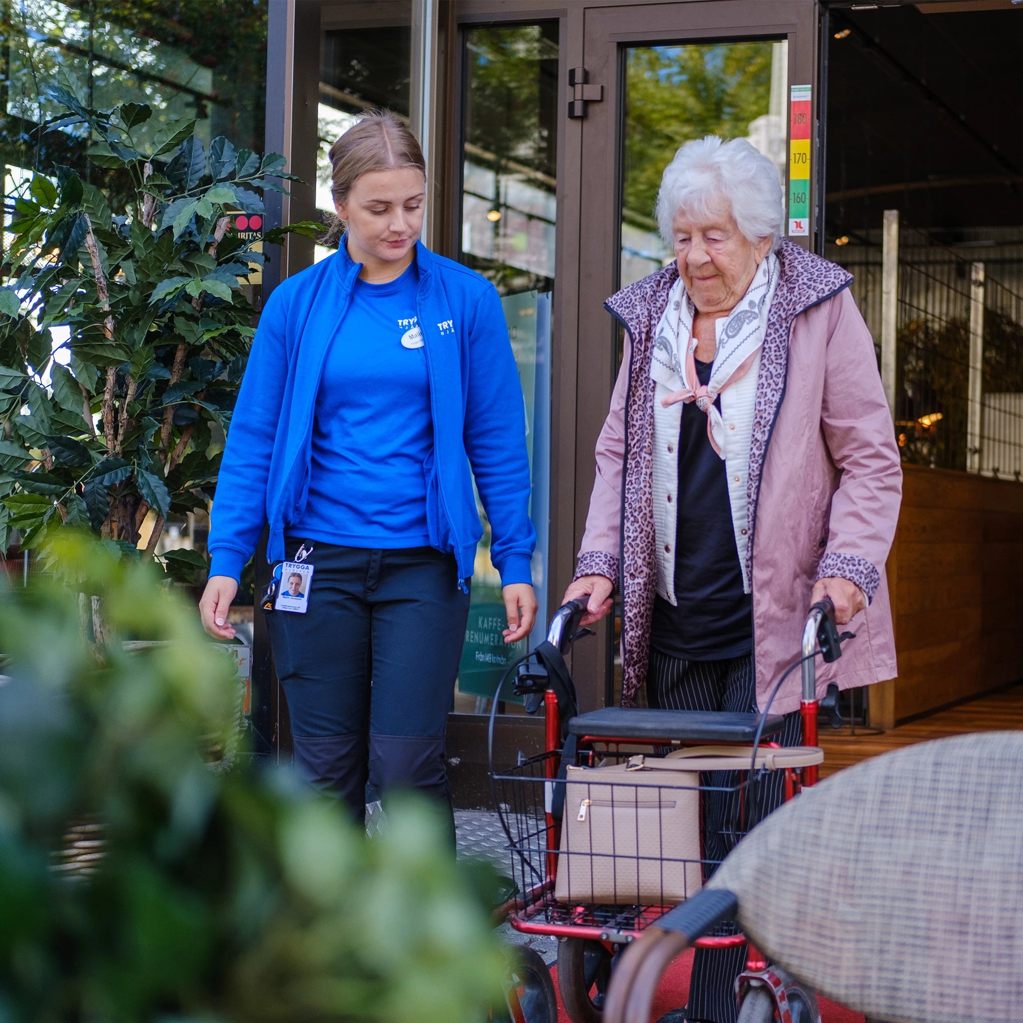 Gång & förflyttning